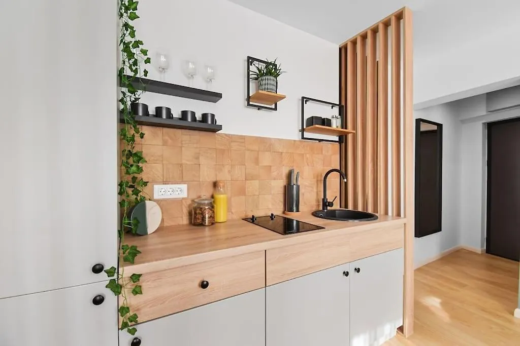 Mysa Modern Studio * Near Cismigiu Park * Netflix Bucharest