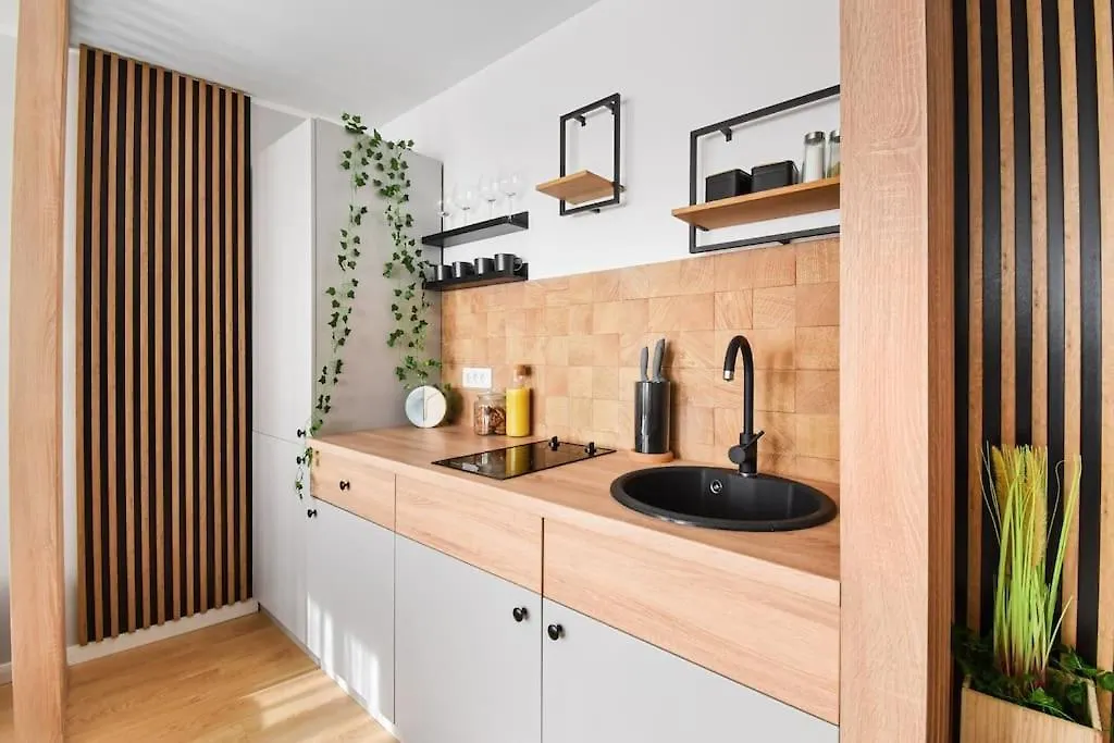 Apartment Mysa Modern Studio * Near Cismigiu Park * Netflix Bucharest