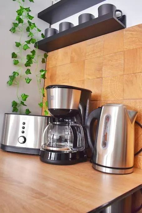 Apartment Mysa Modern Studio * Near Cismigiu Park * Netflix Bucharest Romania